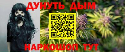 прущие грибы Кингисепп