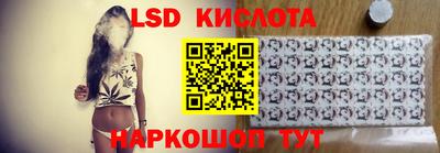 прущие грибы Кингисепп