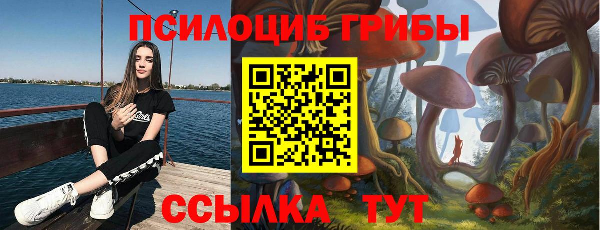 Костомукша  Псилоцибиновые грибы GOLDEN TEACHER  Вход с VPN 